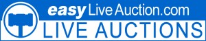 easy_live_auction_live_auctions